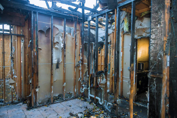 Professional Smoke Damage Removal technician working in Brunswick, OH